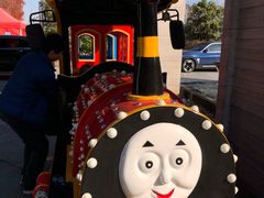 -上海崇明金茂凯悦酒店