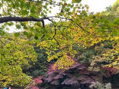 -关门山森林公园