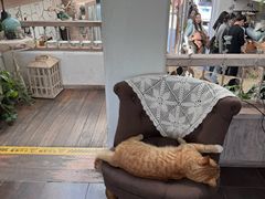 -Vanillacafe香草咖啡(银海大世界店)