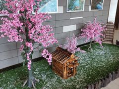 -临高角
