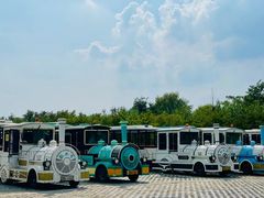 -泗洪洪泽湖湿地景区