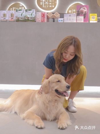 最近下了班超爱去三元桥的一家狗咖「暖·SUNBELT