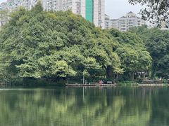 -晓港公园