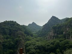 -大岭沟猕猴桃谷风景区