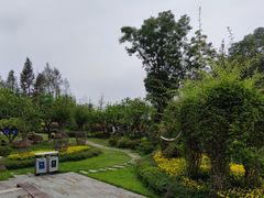 -铁山坪森林公园