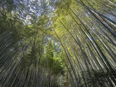 -敬亭山风景名胜区