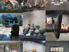 -烟台自然博物馆