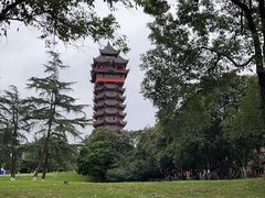 -塔子山公园