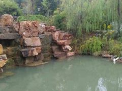 -深业半汤御泉庄温泉