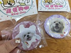 -汪说·狗咖·拼豆·宠物周边DIY(旺城大厦店)