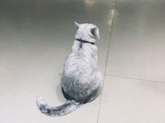 -藏猫猫咖啡主题馆(中央大道店)