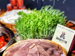 -渝味晓宇火锅(合川路店)