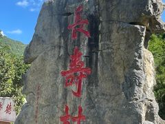 -长寿村