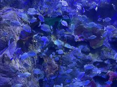 -太平洋海底世界