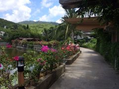 -三亚亚龙湾凯莱仙人掌度假酒店