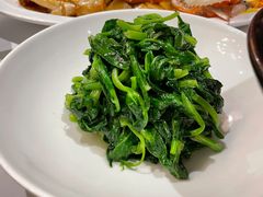 高山豆苗-南麓·浙里(外滩店)