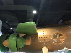 -杭州开元森泊度假乐园