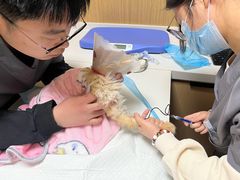 -中农大我爱我爱24h动物医院·中医针灸·猫专科·骨科医疗中心(双井店)