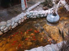 -馬蘭花開(车站大道店)