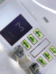 -MIVI半永久纹眉纹绣