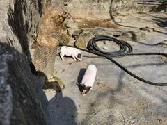 -宁波野生动物园