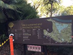 -墨尔本皇家植物园