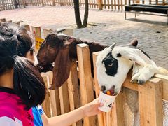 -水上乐园·欢乐世界