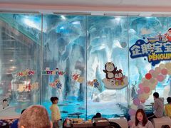 -帝企鹅自助餐厅•儿童岛•真企鹅(长隆企鹅酒店)