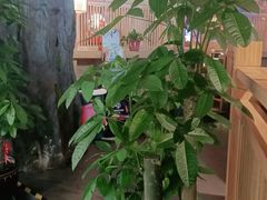 -九田家黑牛烤肉料理(溧阳吾悦店)