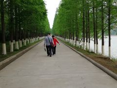 -黄河小浪底水利枢纽风景区