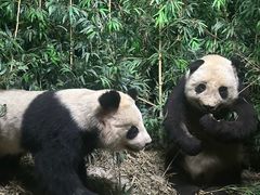 -昆明动物博物馆