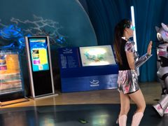 -烟台海昌鲸鲨海洋公园