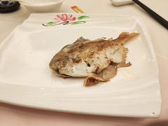 -黄埔华苑酒家(黄埔总店)