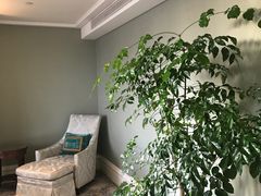 -上海外滩华尔道夫酒店