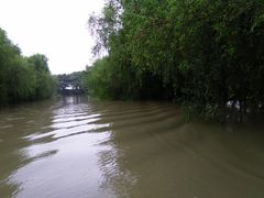 景点-大湾区中央湿地公园