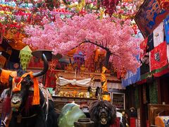 -吉祥圣雪藏餐