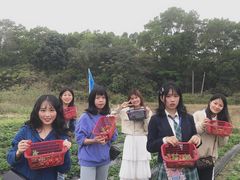 -广东茂名森林公园