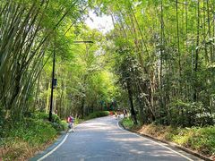-广州市白云山风景名胜区