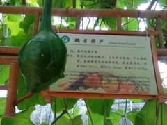 android_upload_pic-上海都市菜园