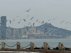 -黑石礁公园