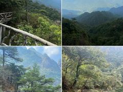 -三清山风景名胜区