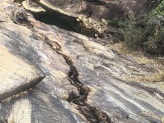 -广州白江湖森林公园