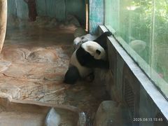 -海南热带野生动植物园