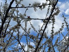 -广州市流溪河国家森林公园