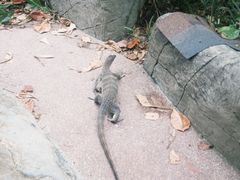 -巴拉湾海滩