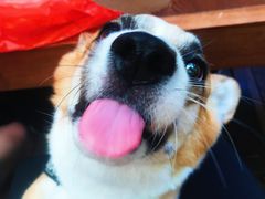 -哈根达斯(武汉天地店)