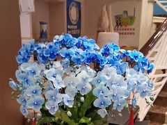 -顺峰(农展馆店)