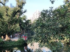 -晓港公园