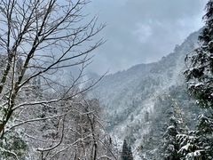 -九峰山