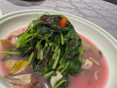 -山外山菜馆(玉泉路店)